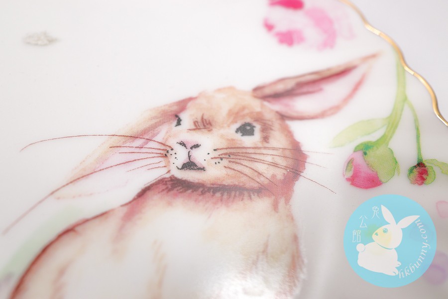 高級野靚兔兔印刷靚碟