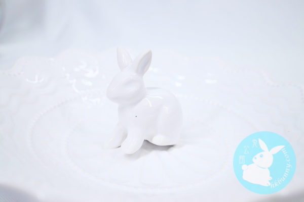 小兔白色花碟