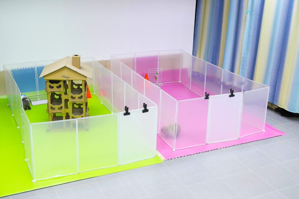 HKbunny,com 兔公館