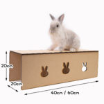 Run Rabbit 60cm 隧道