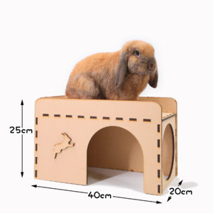 加大迷你小屋