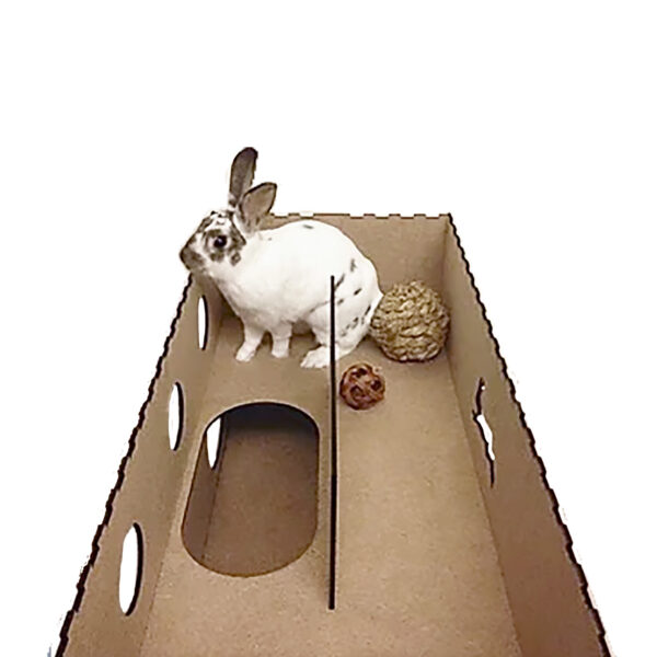 Run Rabbit！兔跑拋木作屋 雙層隧道（公價貨品）