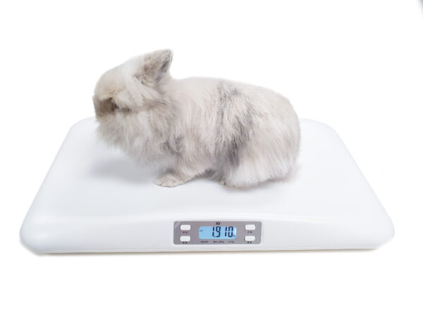 寵物充電式電子磅