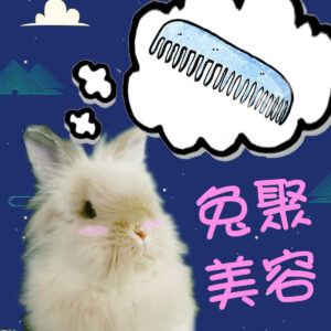 兔公館兔聚美容服務