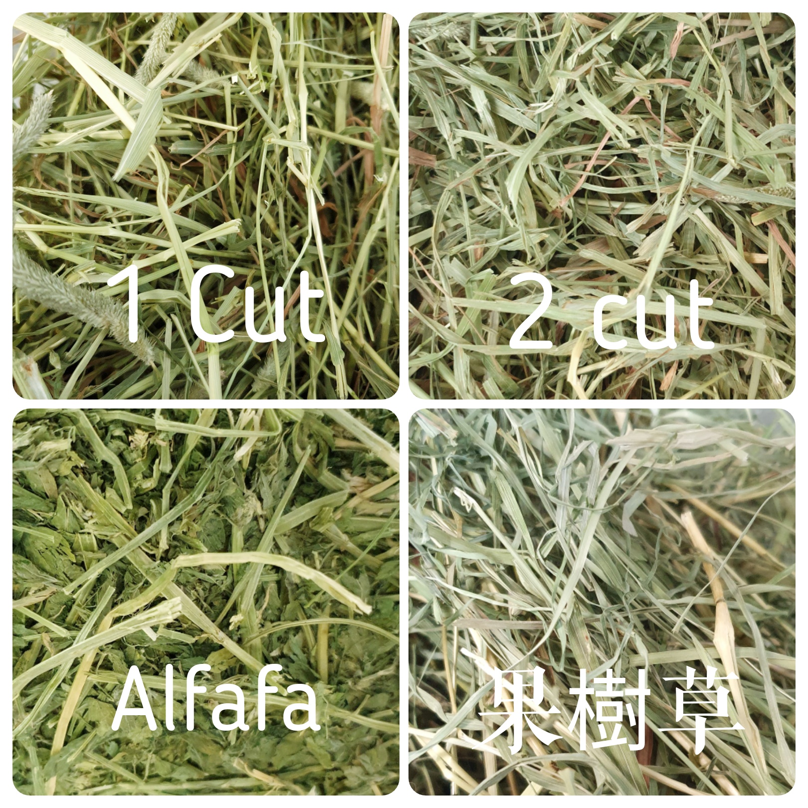 Momi 農夫皇牌 提摩西草 2割 Timothy 2Cut:圖片 2