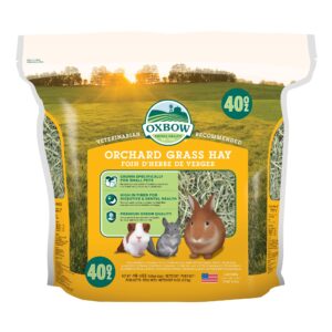 Oxbow Orchard Grass 果樹草40oz