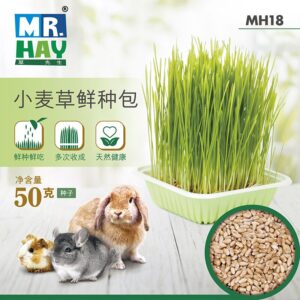 Mr.Hay 小麥草鮮種包