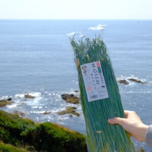 日本Rabbit’s 無農藥 純天然國產綠燕麥草 原條50g